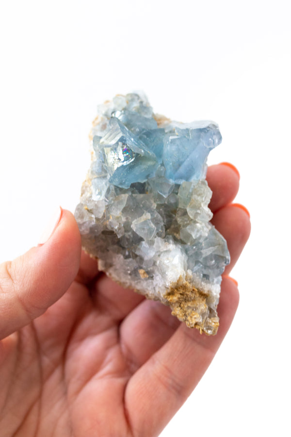 Blue Celestite Crystal Clusters - Apothecary Co.