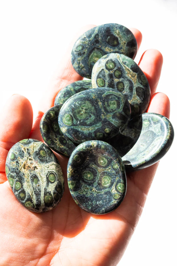Unveiling the Mystique of Crocodile Jasper: Benefits, Uses, and Where to Find Yours