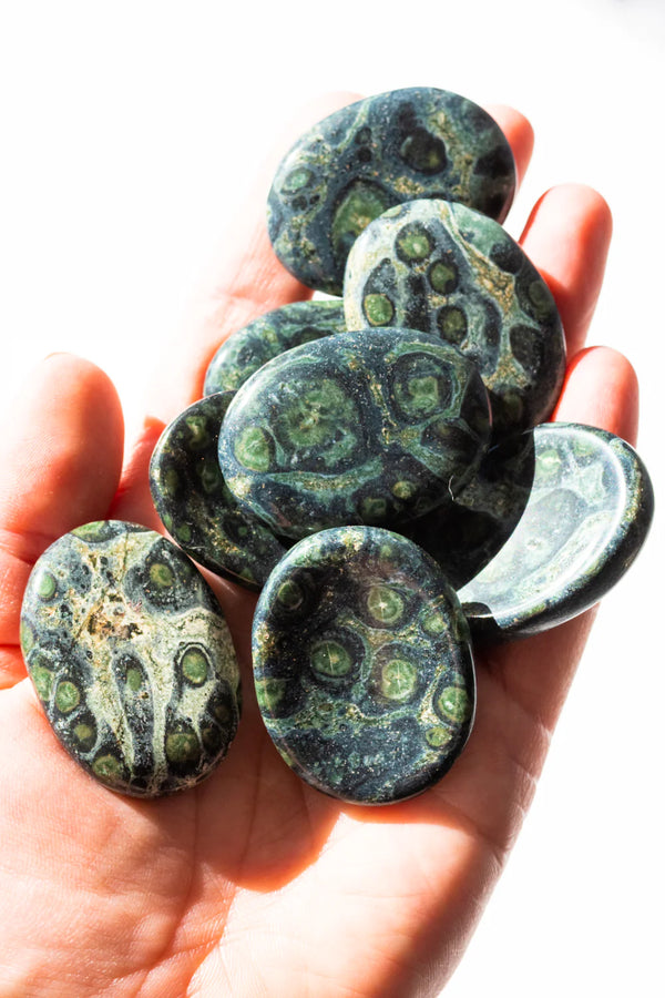 Unveiling the Mystique of Crocodile Jasper: Benefits, Uses, and Where to Find Yours