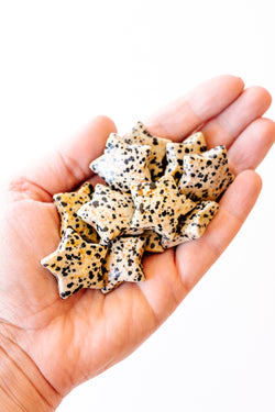 Dalmatian Jasper Crystal Stars - Apothecary Co.