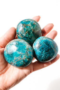 Blue Apatite Palm Stone - Apothecary Co.