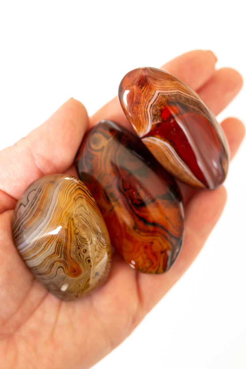 Sardonyx Palm Stone - Apothecary Co.