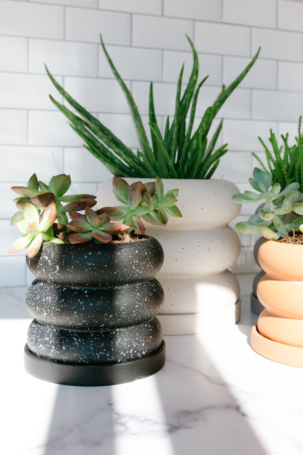 Boho Ceramic Planter - Apothecary Co.