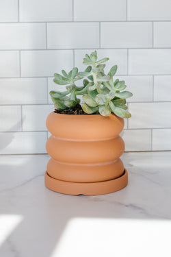 Boho Ceramic Planter - Apothecary Co.