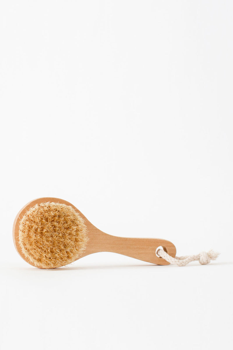 NATURAL Body Brush - Apothecary Co.